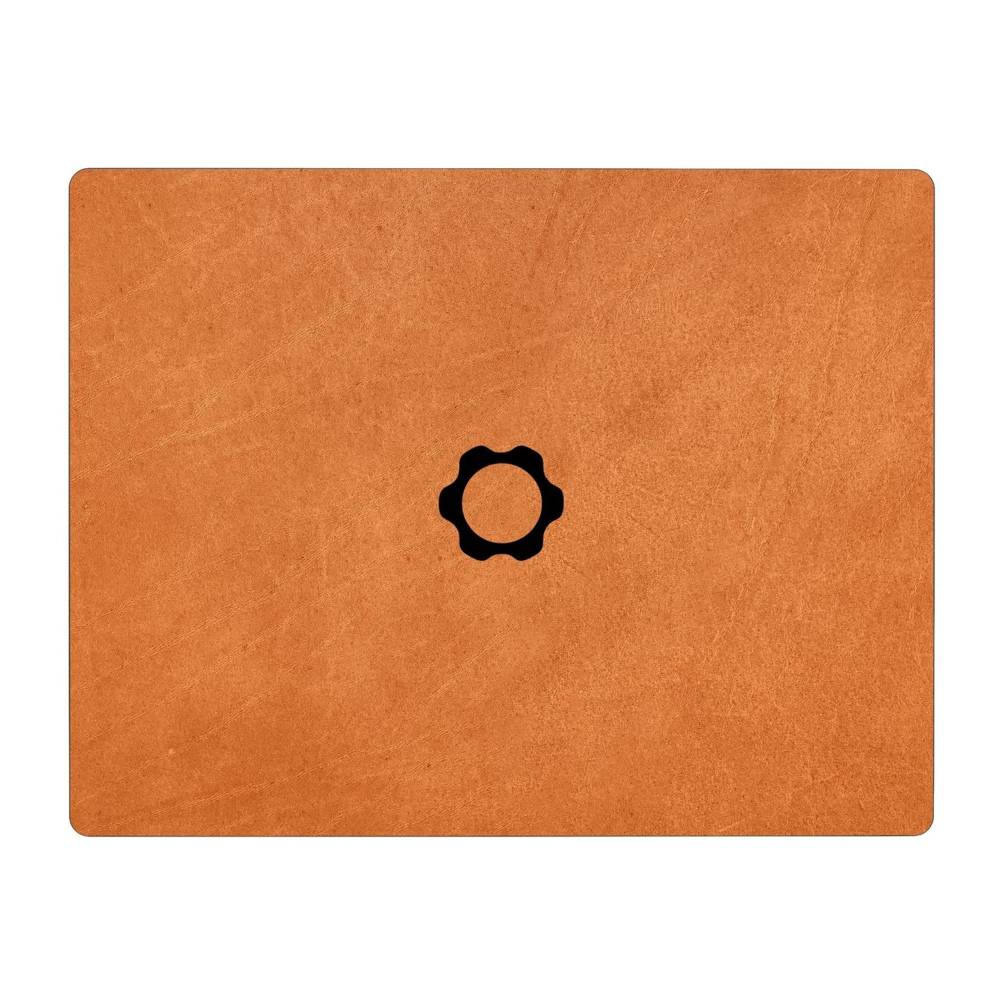 Framework Laptop 13 Pro Skins & Wraps