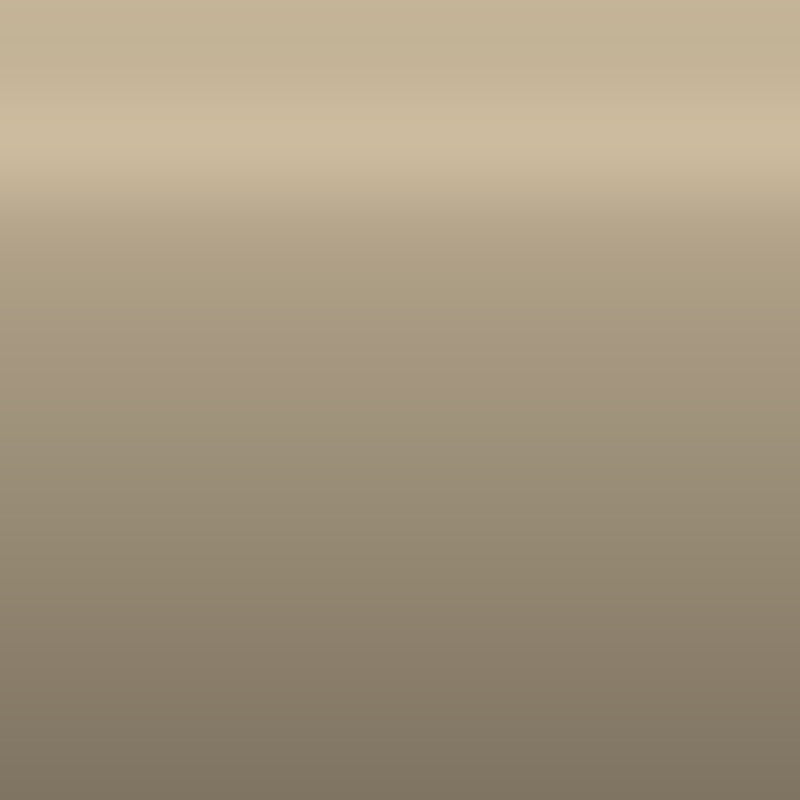 Automotive Touch Up Paint Toyota Beige 4H9