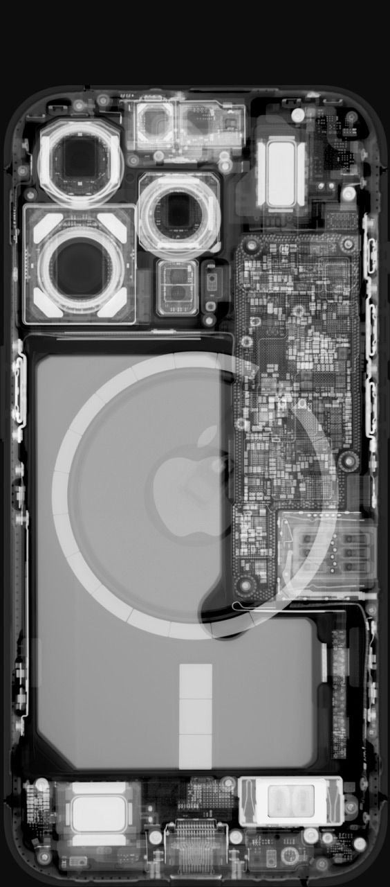 X-Ray Â» Special Edition Drop Â» dbrand
