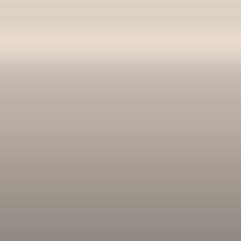Automotive Touch Up Paint Toyota Beige Metallic 4L5