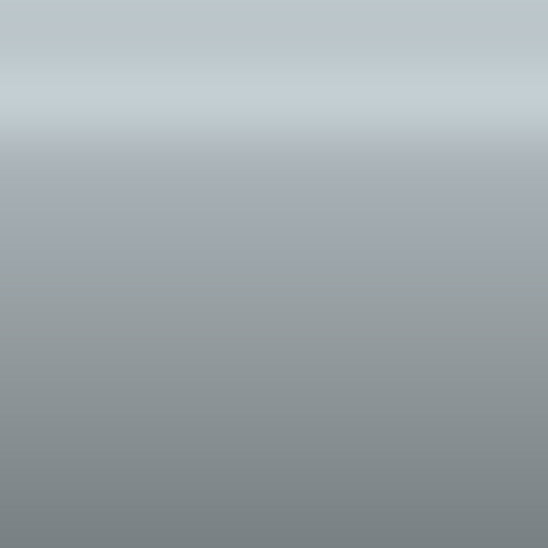 Automotive Touch Up Paint Scion Ice Silver Metallic G1U