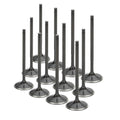 Stainless Steel Black Nitride Intake Valves for a Nissan / TB48 - Oversize +1.5mm | Supertech Performance Engine Valves