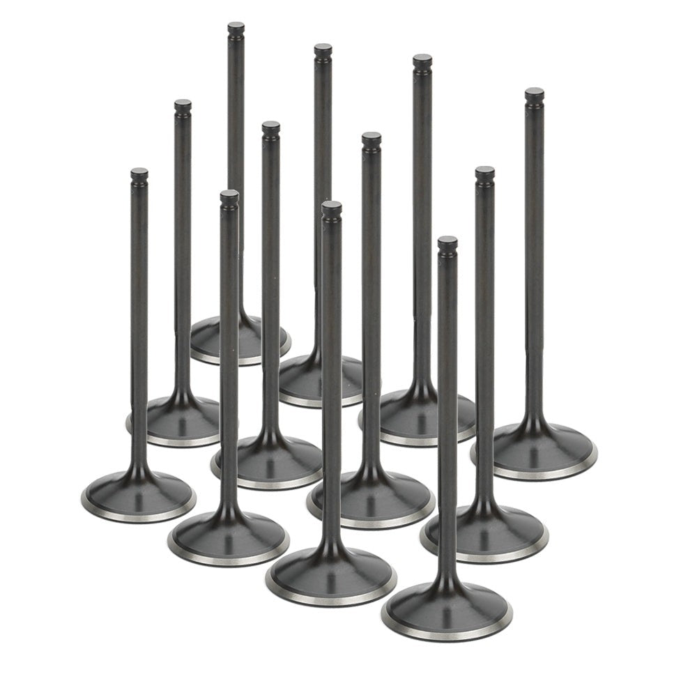 Stainless Steel Black Nitride Intake Valves for a Nissan / TB48 - Oversize +1.5mm | Supertech Performance Engine Valves