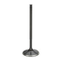 Stainless Steel Black Nitride Intake Valves for a Nissan / VK56DE - Oversize +1mm | Supertech Performance Engine Valves