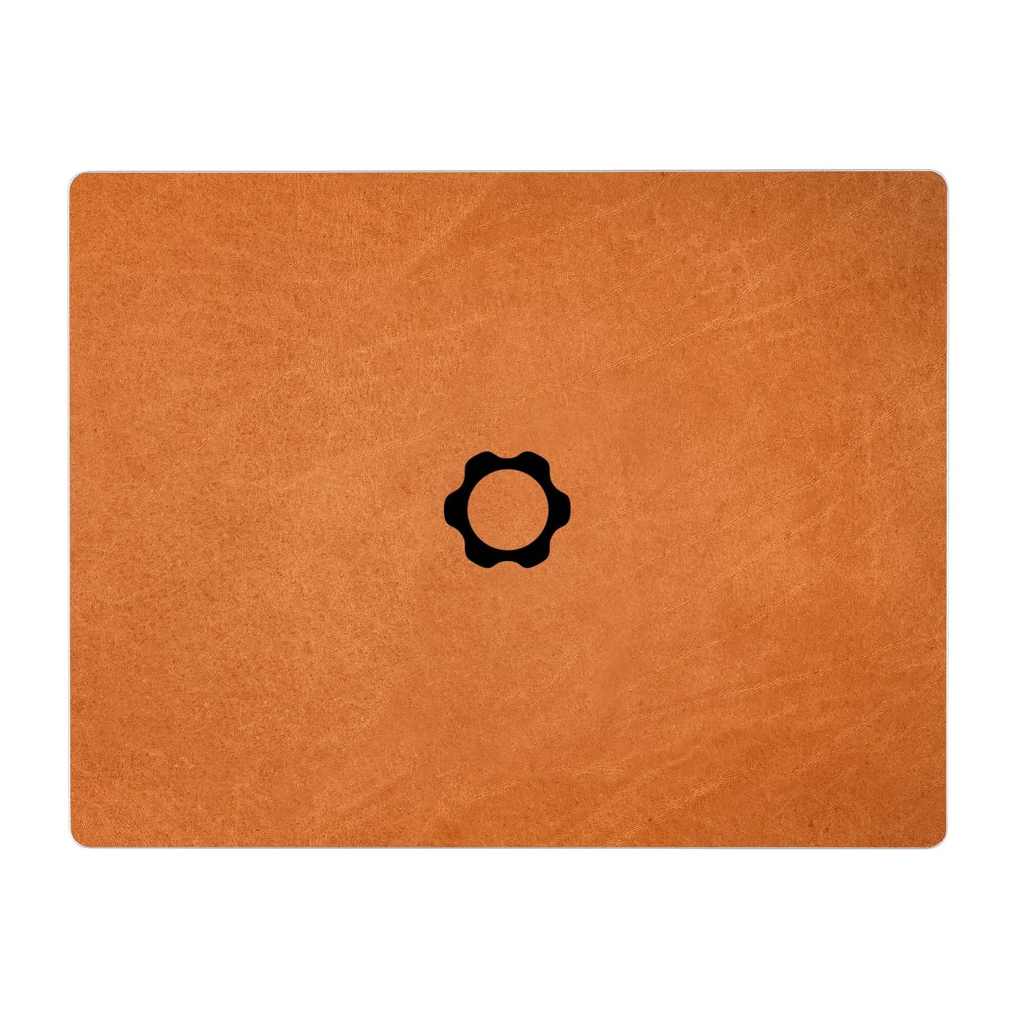 Framework Laptop 13 Skins & Wraps